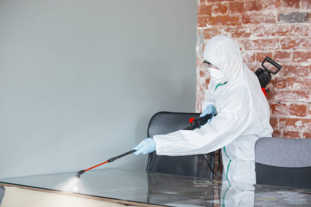 Trusted Quitman, TX Mold Inspection Experts